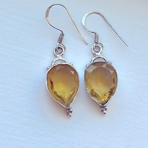 925 Sterling Silver Natural Stone Earrings